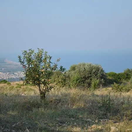 Vacanze La Venere * Rocca Imperiale